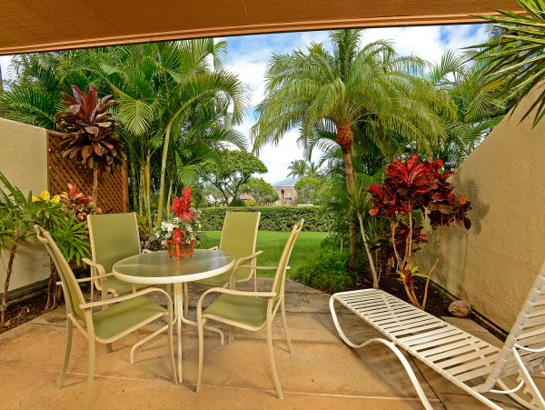 Wailea Home 1018380