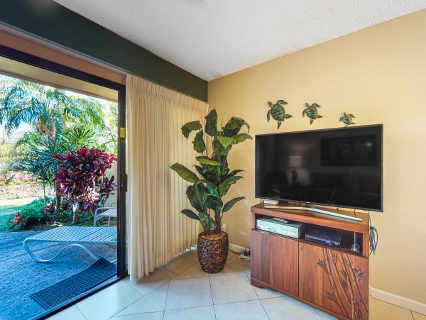 Wailea Home 1018380