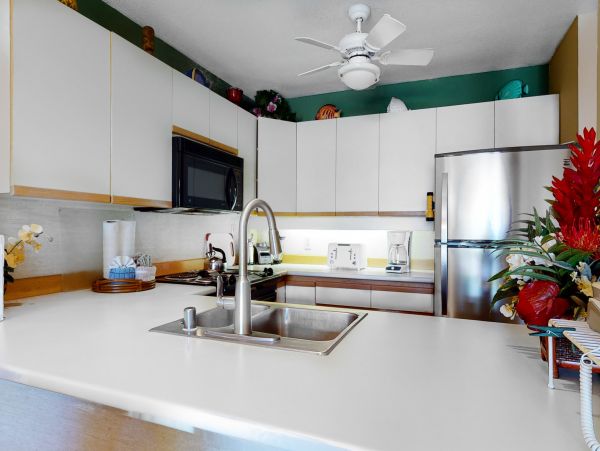 Wailea Home 1018380