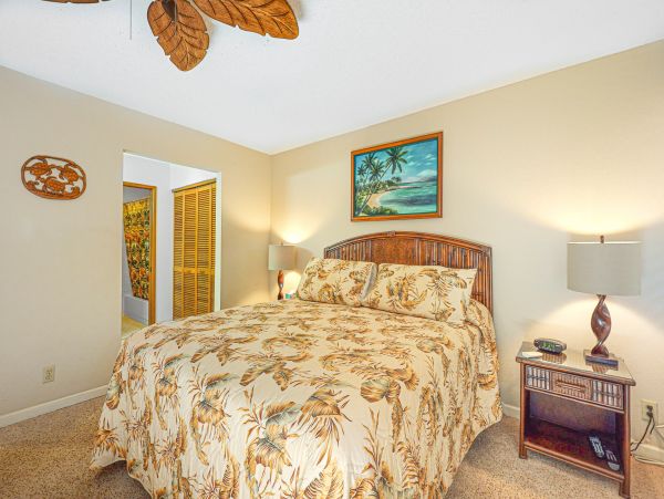 Wailea Home 1018380