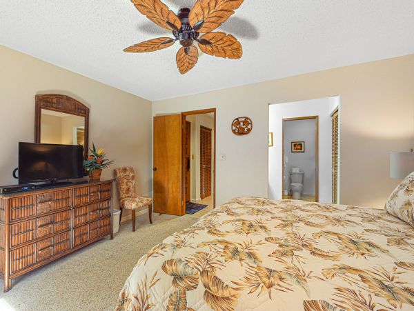 Wailea Home 1018380