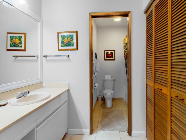 Wailea Home 1018380