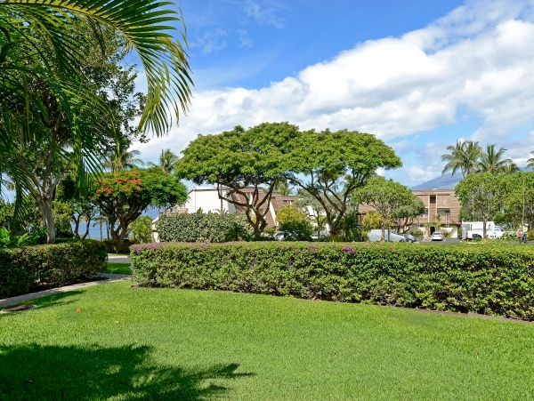 Wailea Home 1018380