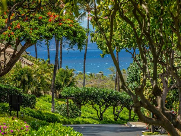 Wailea Walk to Beach Two Bedroom Vacation Condo