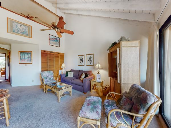 Wailea Home 1018382
