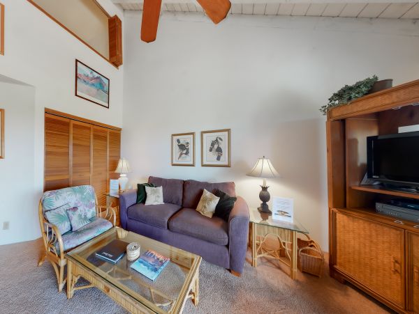 Wailea Home 1018382