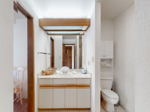 Wailea Home 1018382