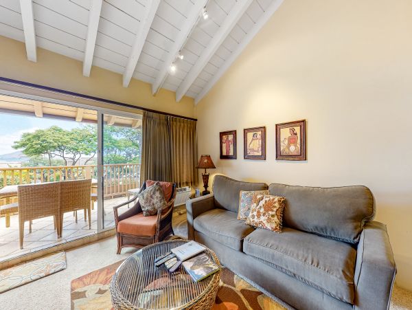 Wailea Condo 1018383