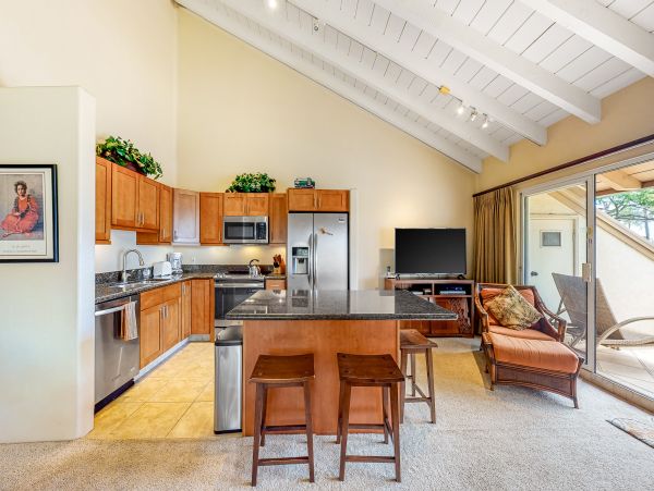 Wailea Condo 1018383