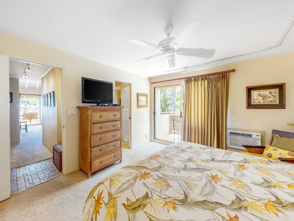 Wailea Condo 1018383