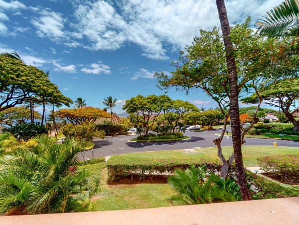 Wailea Condo 1018383
