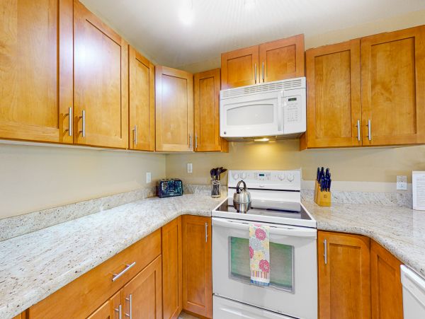 Wailea Home 1018384