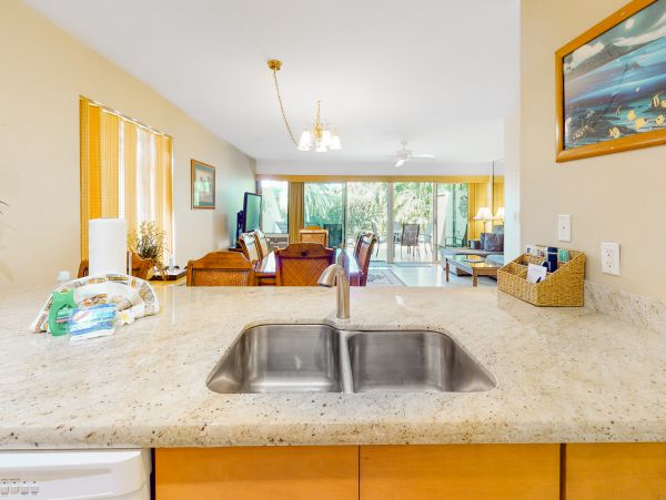 Wailea Home 1018384