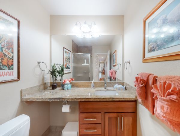 Wailea Home 1018385