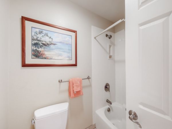 Wailea Home 1018385