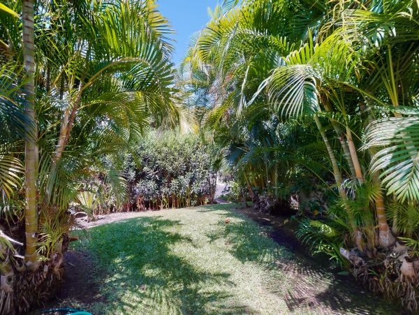 Wailea Home 1018385