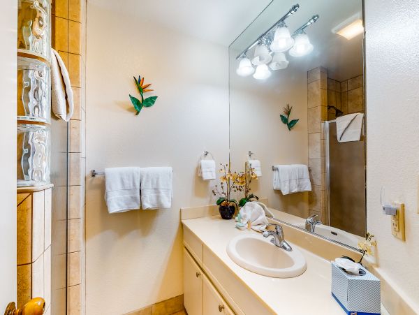 Wailea Home 1018386