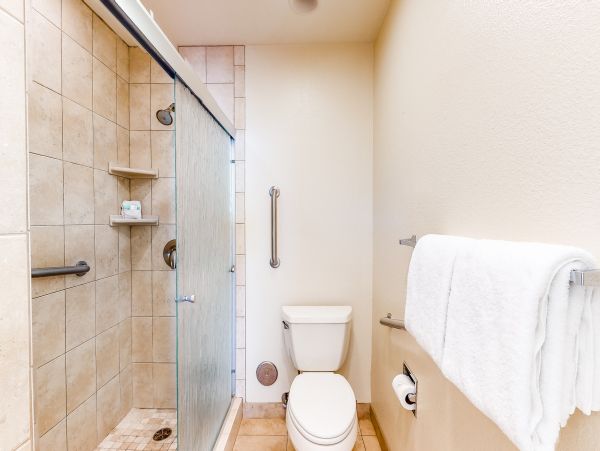Wailea Home 1018386