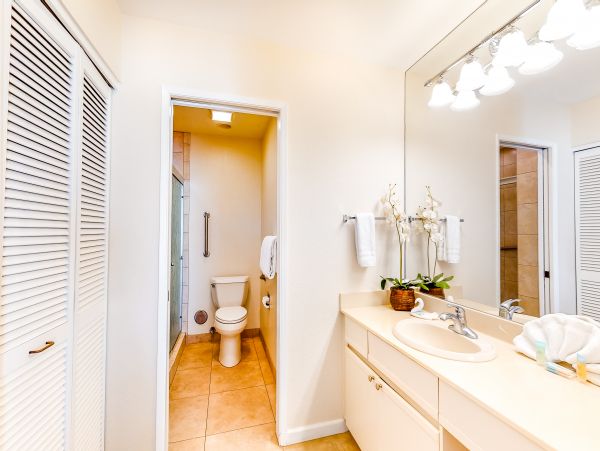 Wailea Home 1018386