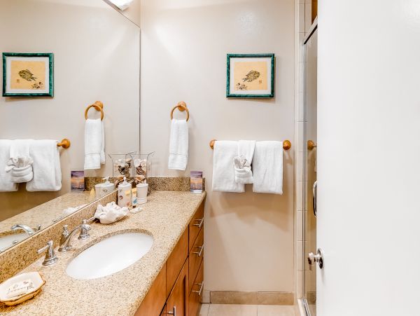 Wailea Home 1018387
