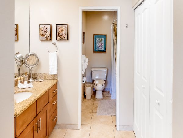 Wailea Home 1018387