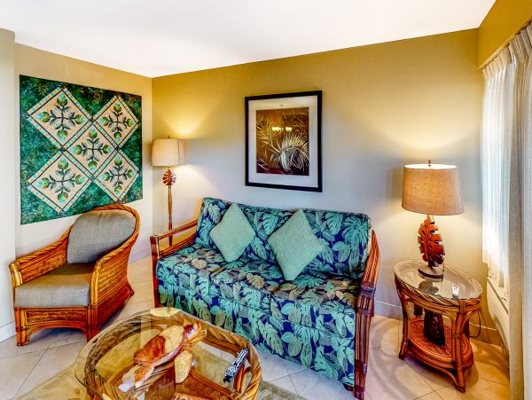 Wailea Home 1018389