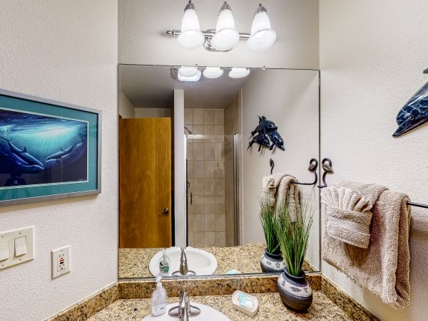 Wailea Home 1018389