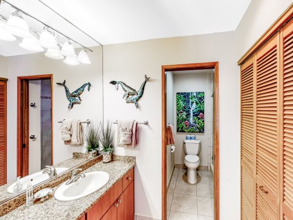 Wailea Home 1018389