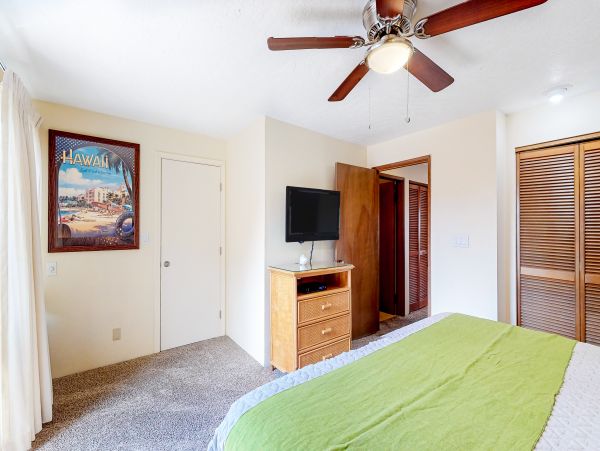 Wailea Home 1018391