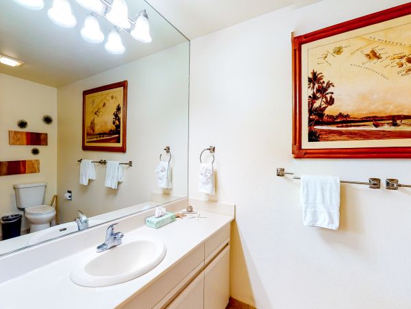 Wailea Home 1018391