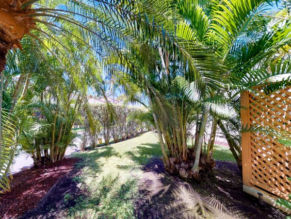 Wailea Home 1018393