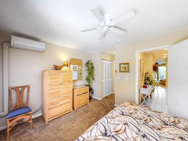 Wailea Home 1018393