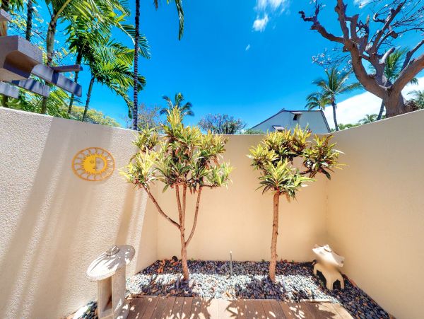 Wailea Home 1018393