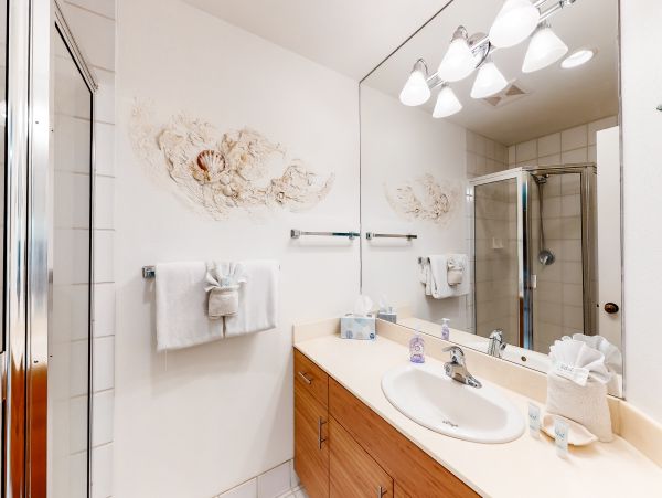 Wailea Home 1018395