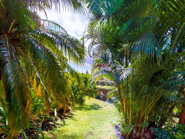 Wailea Home 1018395