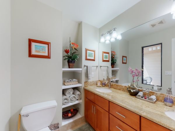 Wailea Home 1018396