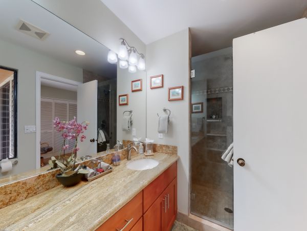 Wailea Home 1018396