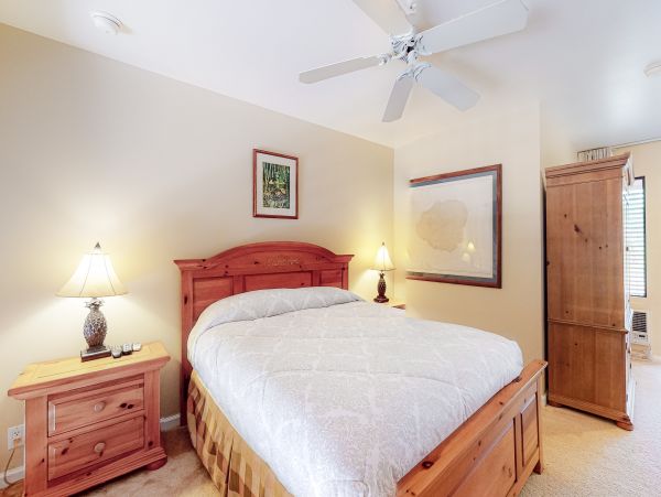 Wailea Home 1018397