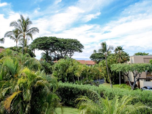 Wailea Home 1018397