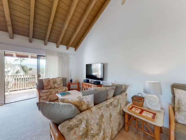 Wailea Home 1018399
