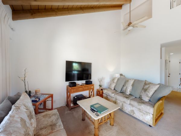 Wailea Home 1018399