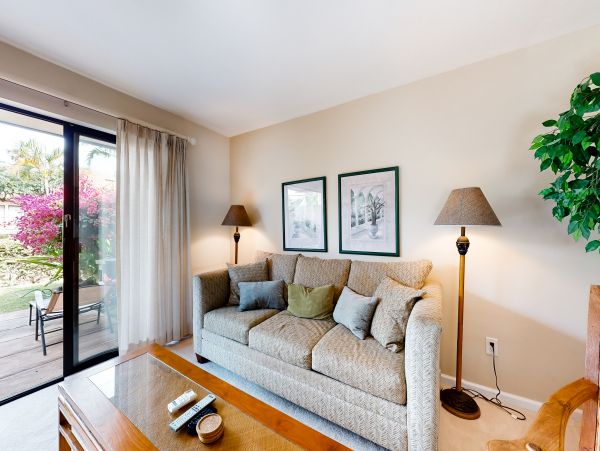 Wailea Home 1018401