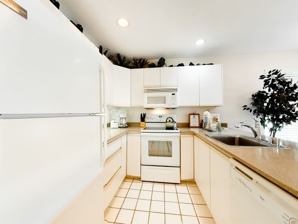 Wailea Home 1018401
