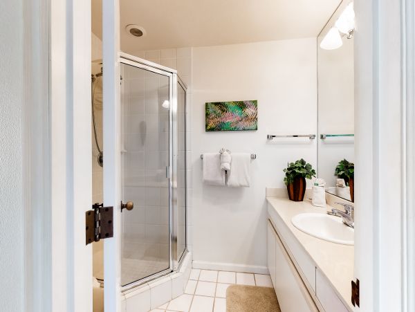 Wailea Home 1018401