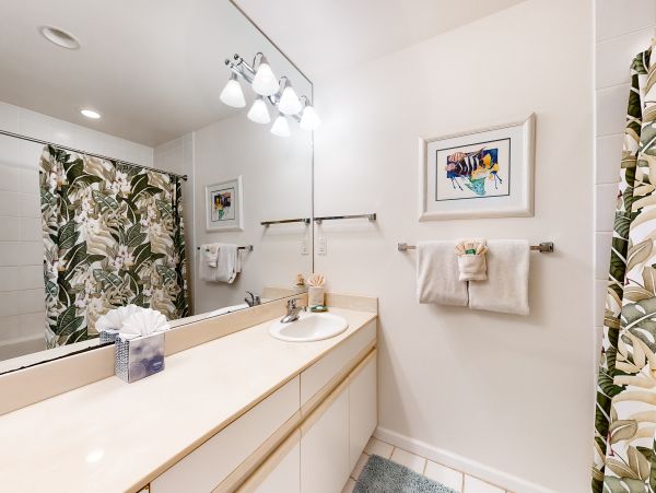 Wailea Home 1018401