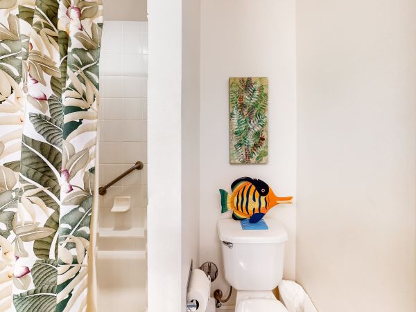 Wailea Home 1018401