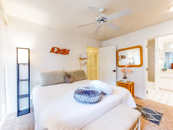 Wailea Home 1018402