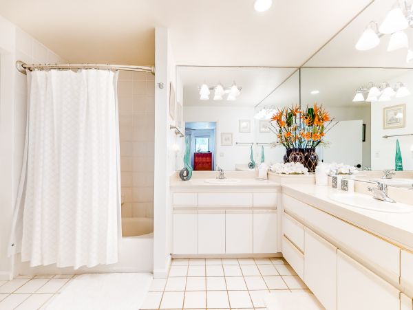 Wailea Home 1018402