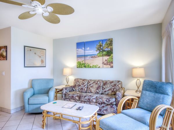 Wailea Home 1018403