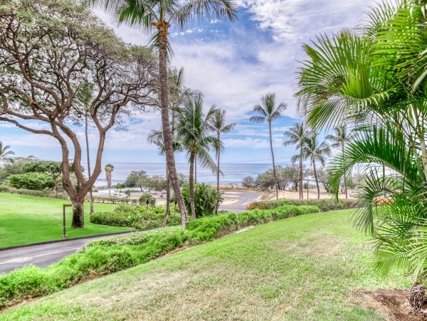 Wailea Home 1018403